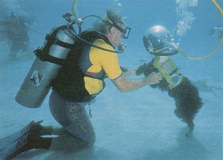 Dwane Folsom diving with his dog Shadow